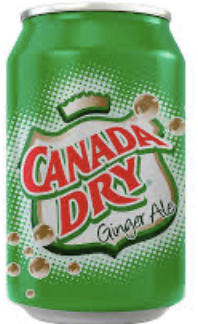 Ginger Ale 355ml Lata